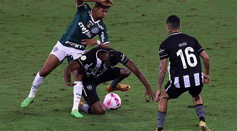 Palmeiras e botafogo