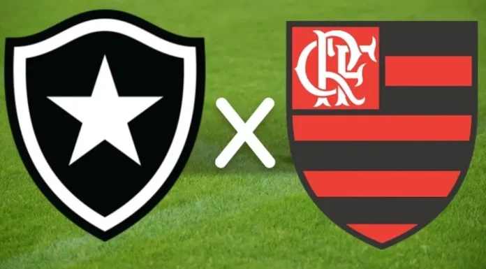 botafogo x flamengo botafogo x flamengo 2025