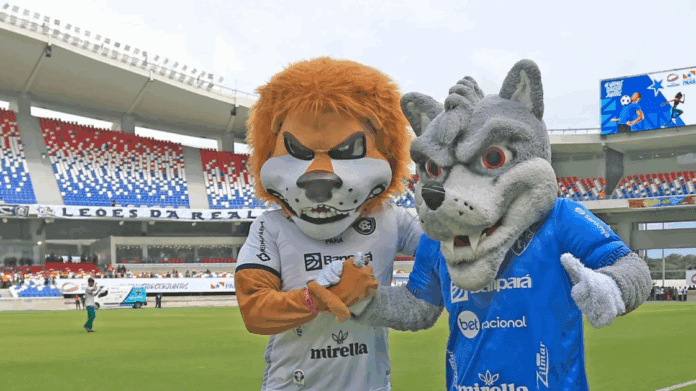 foto divulgação paysandu Paysandu rebaixado, Remo nas alturas